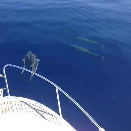 Couette-café Duomo 3*