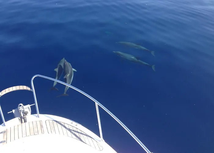 ベッド・アンド・ブレックファスト Duomo 3*